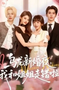 乌龙新婚夜，我和姐姐走错啦