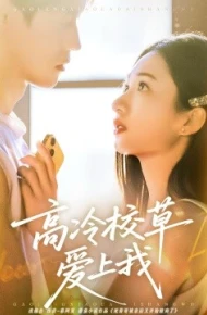 高冷校草爱上我