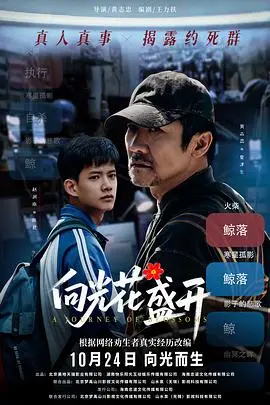 向光花盛开 HD国语