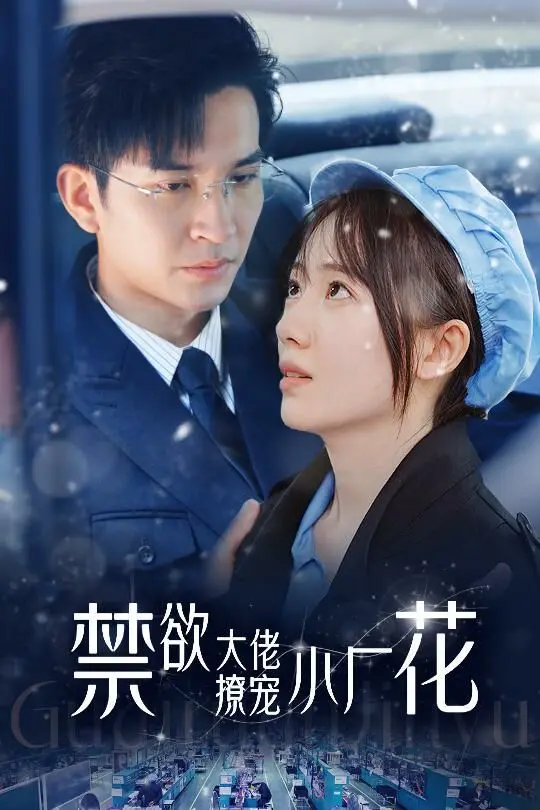 禁欲大佬撩宠小厂花（小可怜靠生子宠冠电子厂） 第1-20集