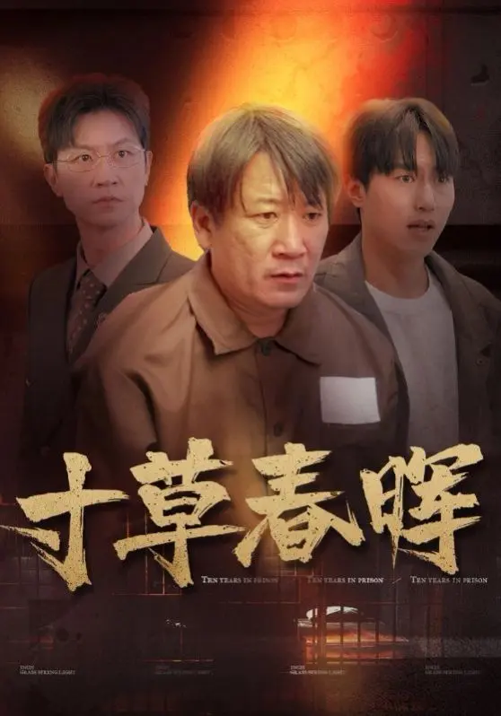寸草春晖 全集完结
