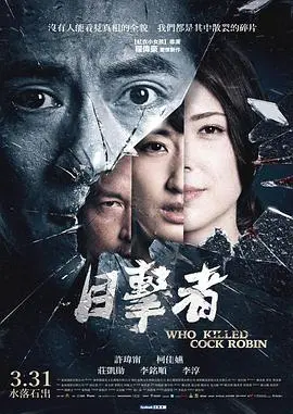 目击者之追凶 正片