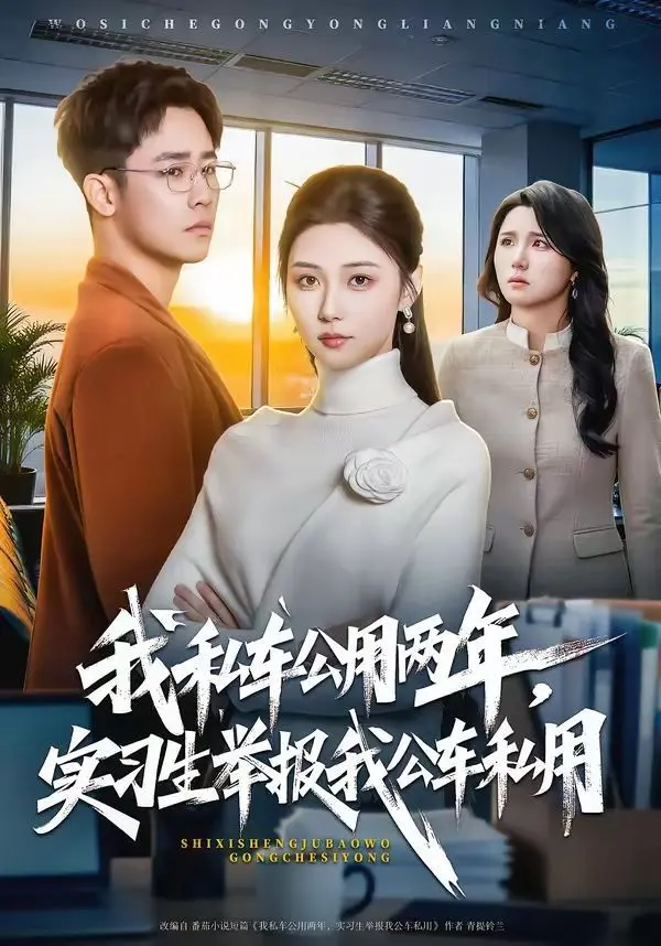 我私车公用两年，实习生举报我公车私用 全集完结