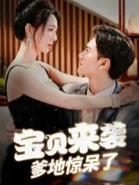 宝贝来袭爹地惊呆了 第1-20