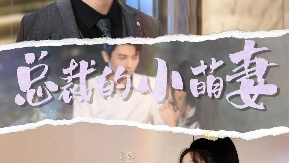 总裁的小萌妻 第1-20集