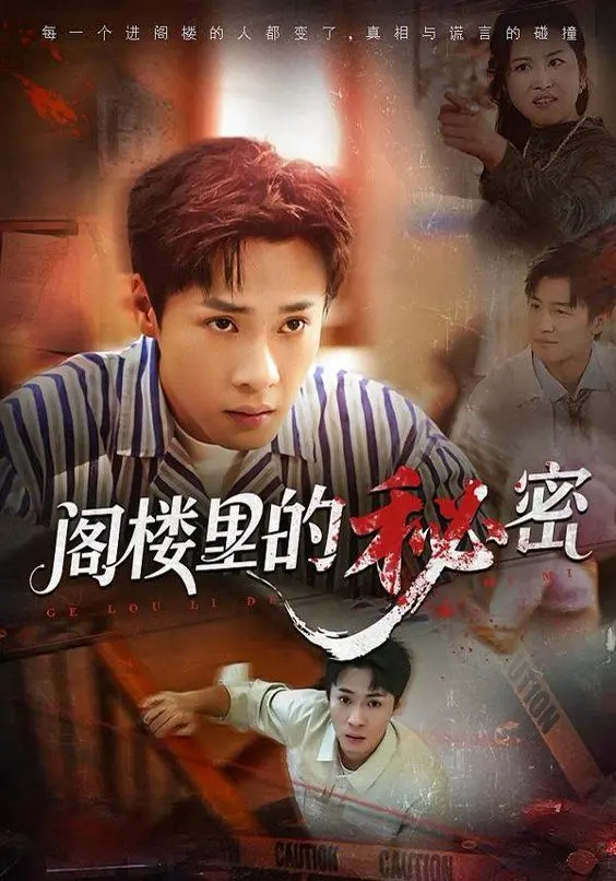 阁楼里的秘密 全集完结