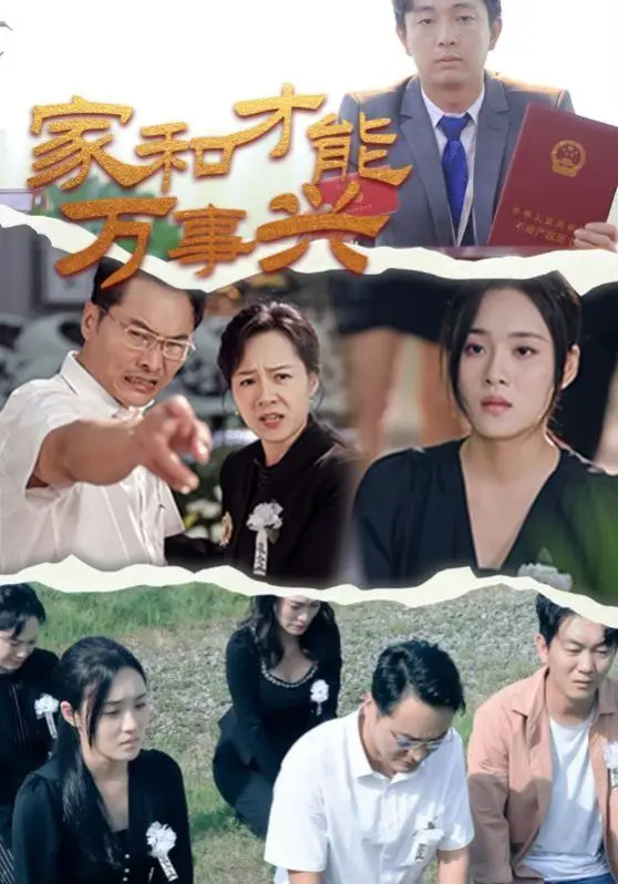 家和才能万事兴 全集完结