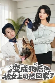 变成狗后，被女上司捡回家了