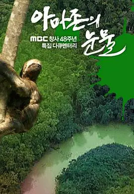 亚马逊的眼泪 正片