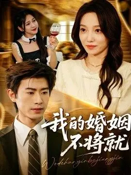 我的婚姻不将就 全集完结