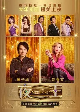 夜王 HD国语