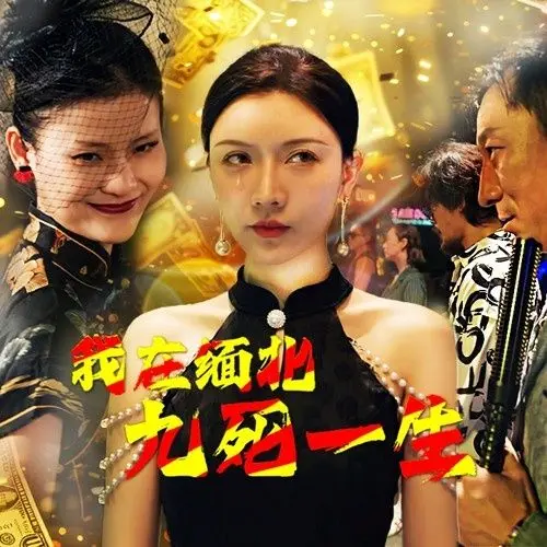我在缅北九死一生 第1-20集