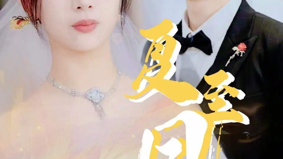 夏至凤吟 第1-20集