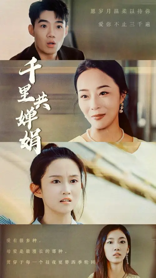 千里共婵娟 第1-20集