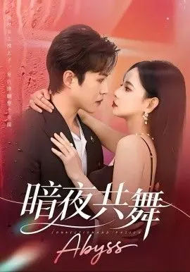 暗夜共舞 全集完结