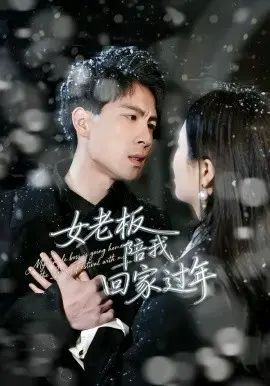 女老板陪我回家过年 第01集