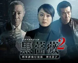 黑蔷薇2 第01集