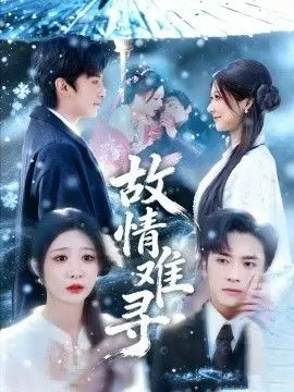 故情难寻 全集完结