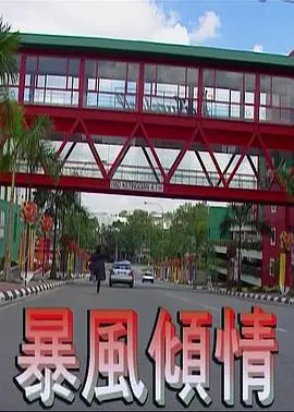 暴风倾情 HD国语