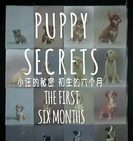 小汪的秘密 第01集