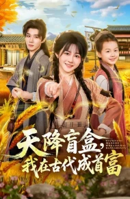 天降盲盒，我在古代成首富