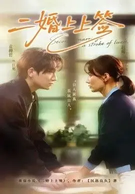 二婚上上签 全集完结