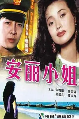 安丽小姐 HD国语