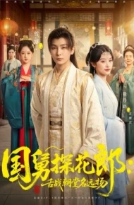 国舅探花郎:舌战朝堂名远扬