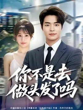 你不是去做头发了吗 全集完结