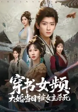 穿书女频，大婚当日被女主杀死 全集完结
