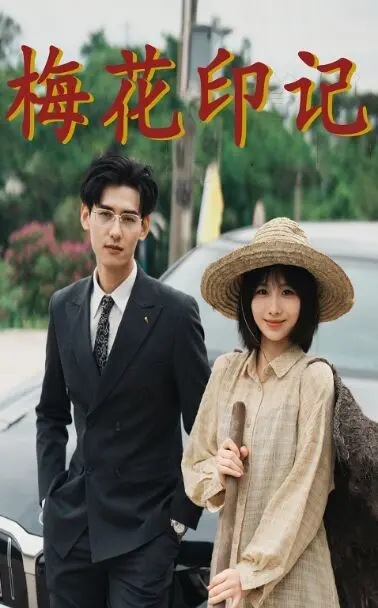 梅花印记 第1-20集