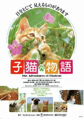 小猫的故事 正片