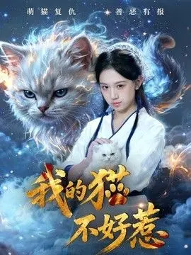 我的猫不好惹 全集完结