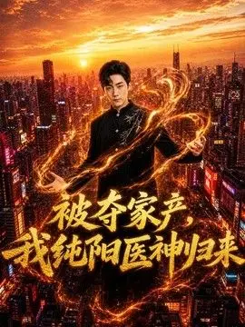 被夺家产，我纯阳医神归来 全集完结