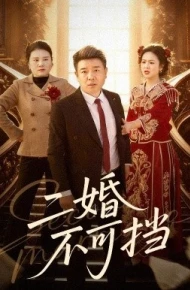 二婚不可挡