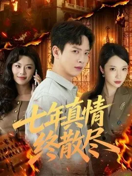七年真情终散尽 第16集