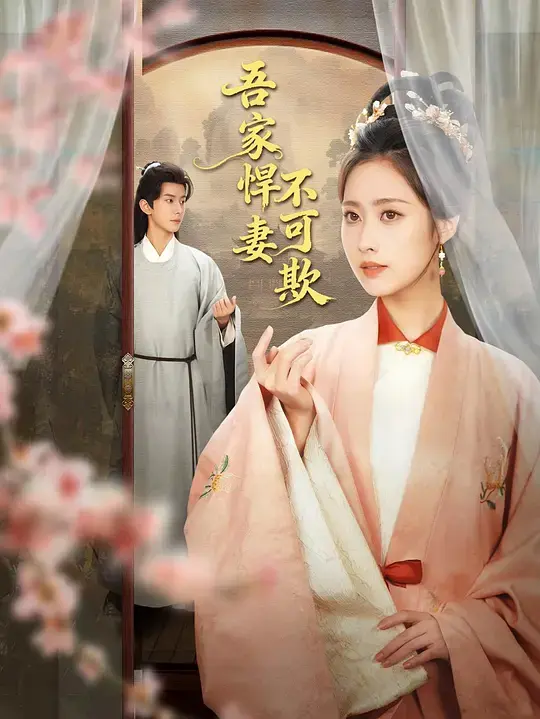 吾家悍妻不可欺 第01集