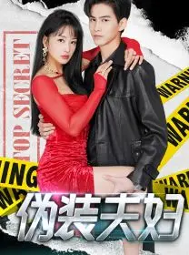 伪装夫妇 第1-20集