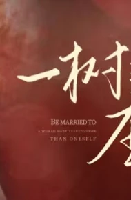 一树梨花压海棠（新：我在八零年代当后妈）