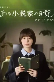 某小说家的日记