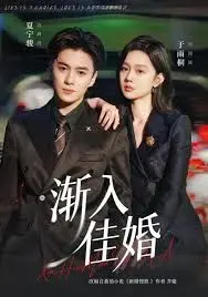 渐入佳婚第一部 全集完结