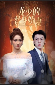 龙少的替身娇妻