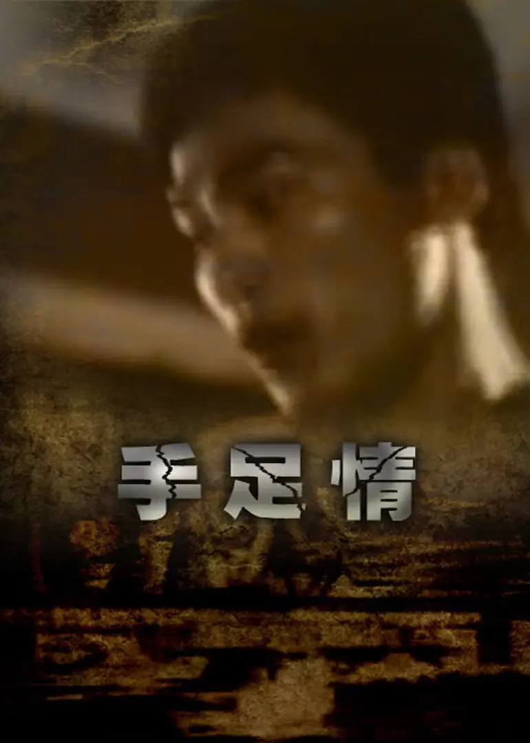 手足情1988 HD国语