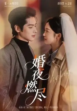 婚夜燃尽 全集完结