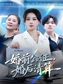 婚前公证，婚后清算 全集完结
