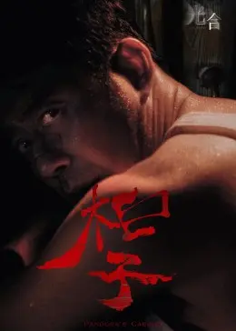 光合计划 第1集