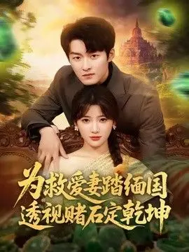 为救爱妻踏缅国透视赌石定乾坤 全集完结