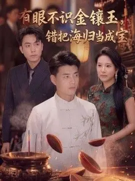有眼不识金镶玉错把海归当成宝 第35集