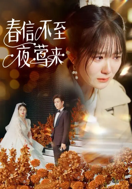 春信不至夜莺来 第1集