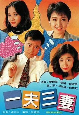 一夫三妻粤语 第01集